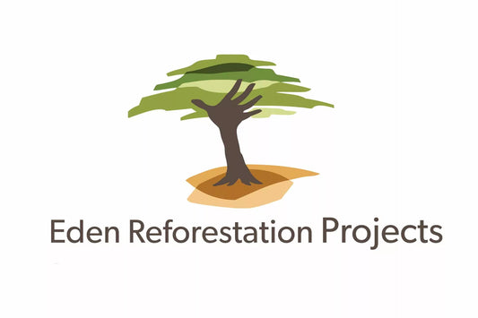 Seacret and Eden Reforestation: A Powerful Alliance for Global Sustainability