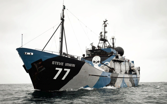 Sea Shepherd Steve irwin blue camo boat Seacret Sustainable clothing brand