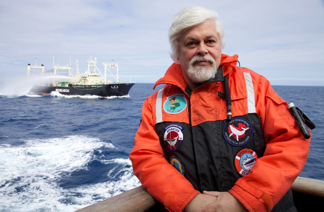 Sea Shepherd founder Paul Watson in Antartica, Seacret blog, sustainable clothing, ecofriendly clothing