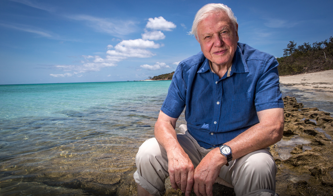 Sir David Attenborough, Ocean Odyssey Exploring the Top 5 Champions of Marine Conservation, marine biology, marine zoology, ocean conservation, marine science, sustainable clothing, ocean based clothing, fashion brand, streetwear brand, Seacret