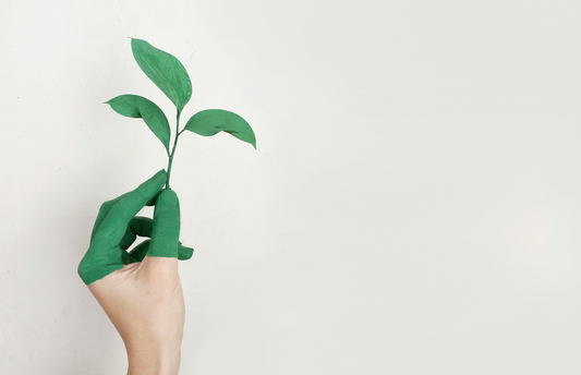 eco-friendly living, sustainable lifestyle, green living tips, environmental conservation, eco-friendly practices.