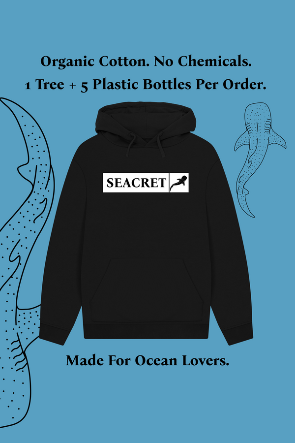 WHALESHARK ORIGINAL BLACK HOODIE